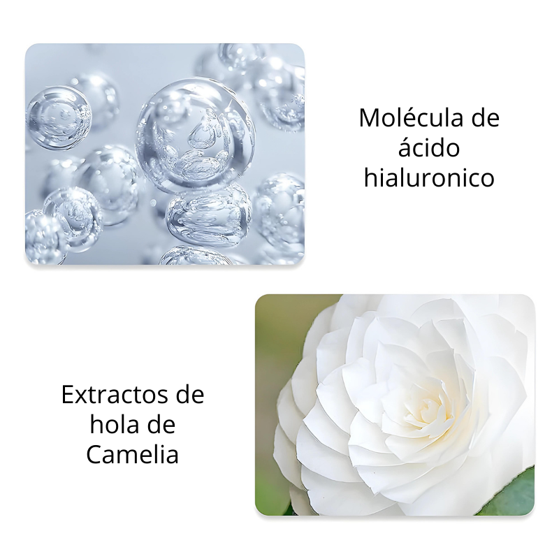 Jabón de limpieza facial con extracto de camelia